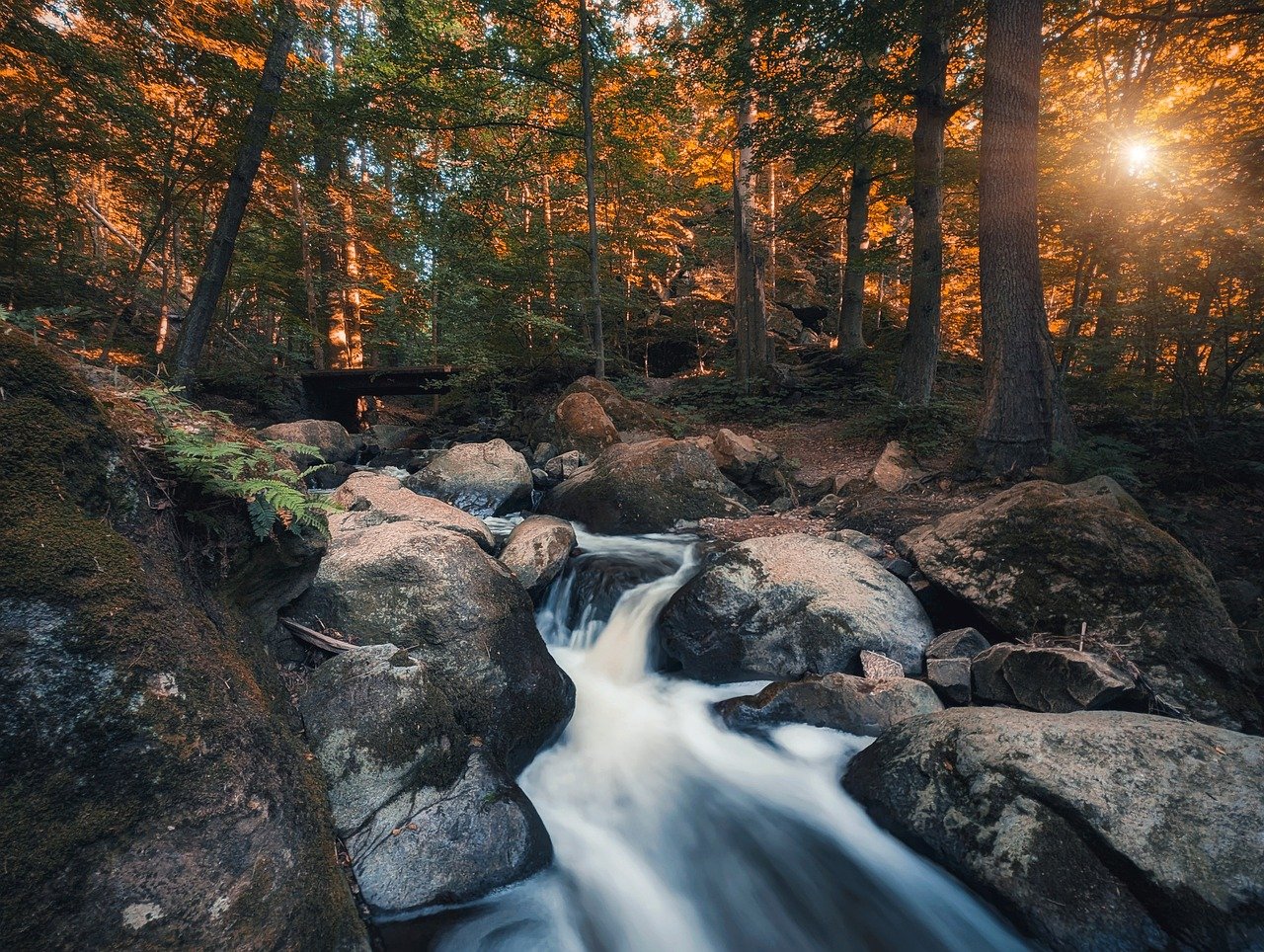 forest, nature, flow, water, stones, rock, long exposure
